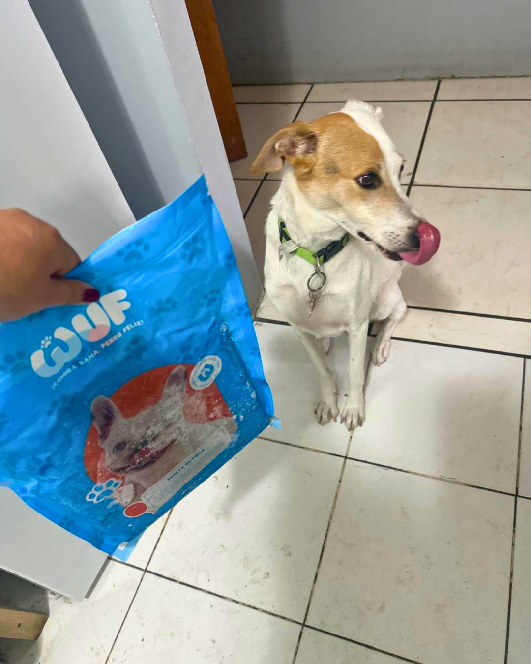 Cliente Wuf