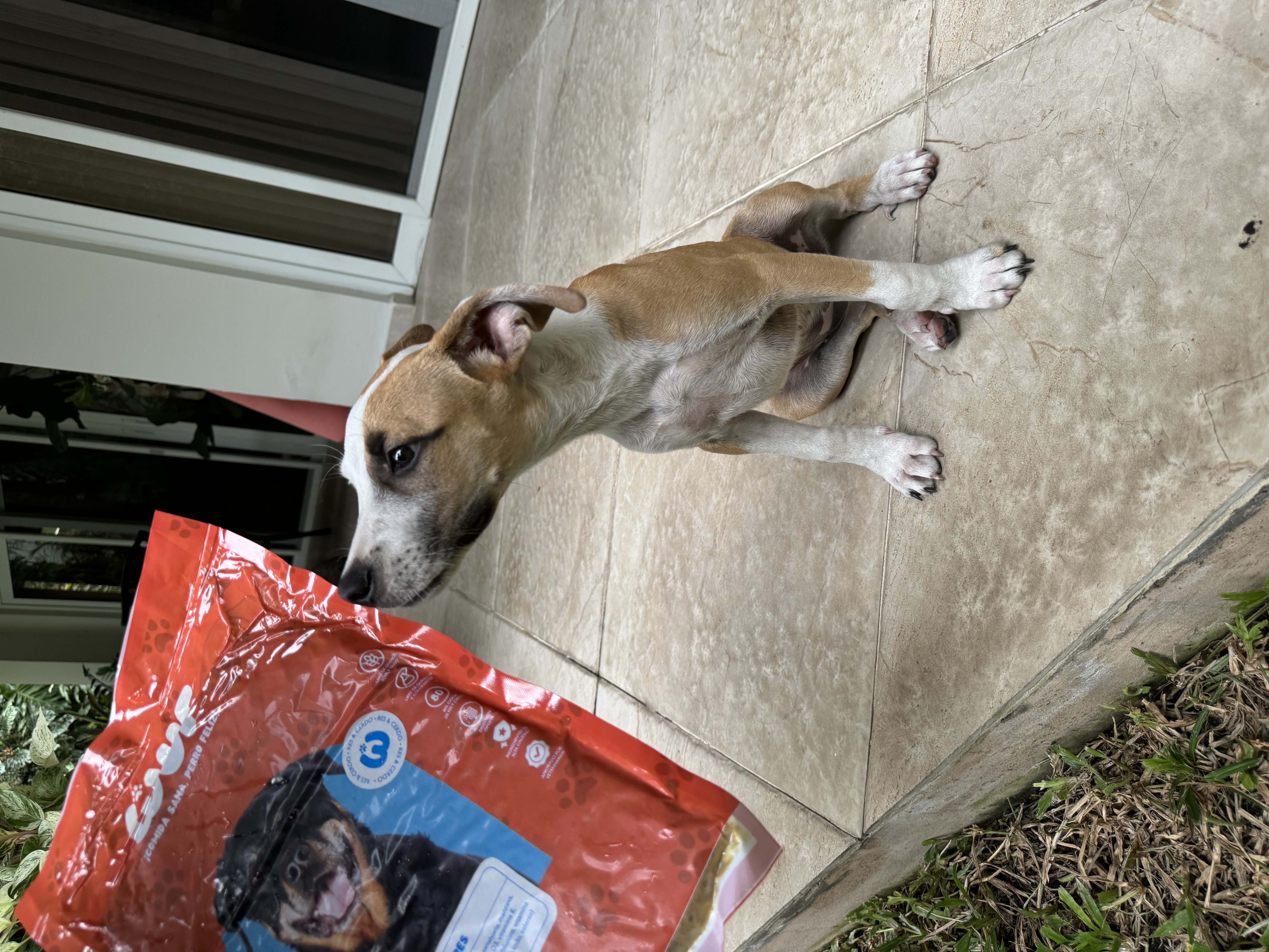 Cliente Wuf