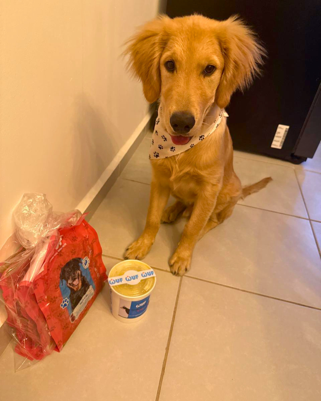 Cliente Wuf