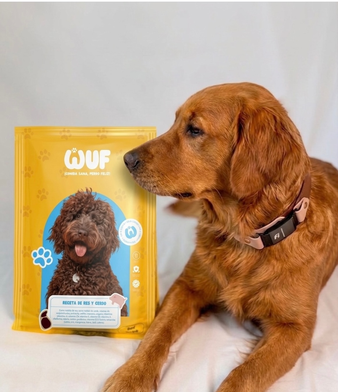 Cliente Wuf