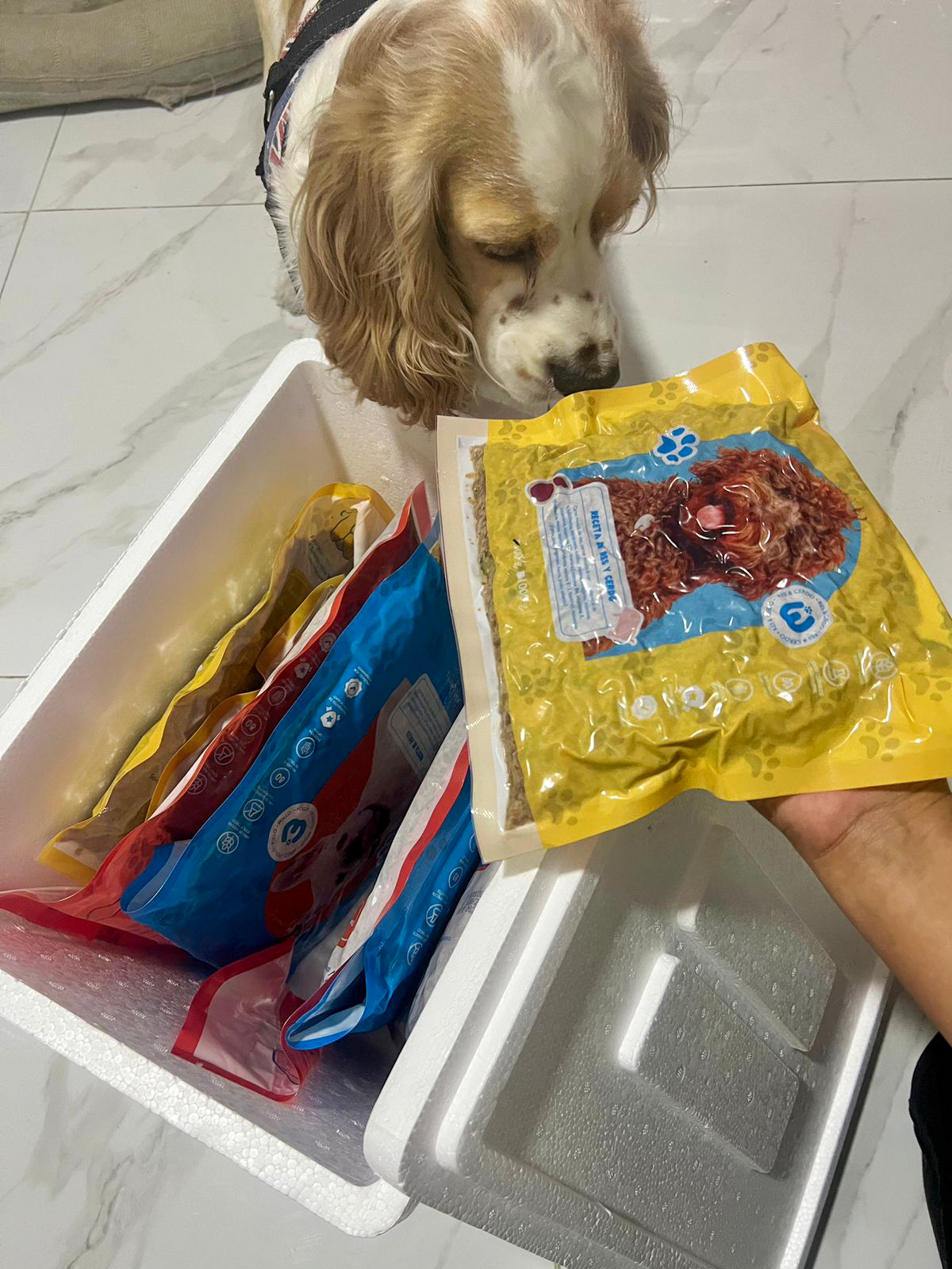Cliente Wuf