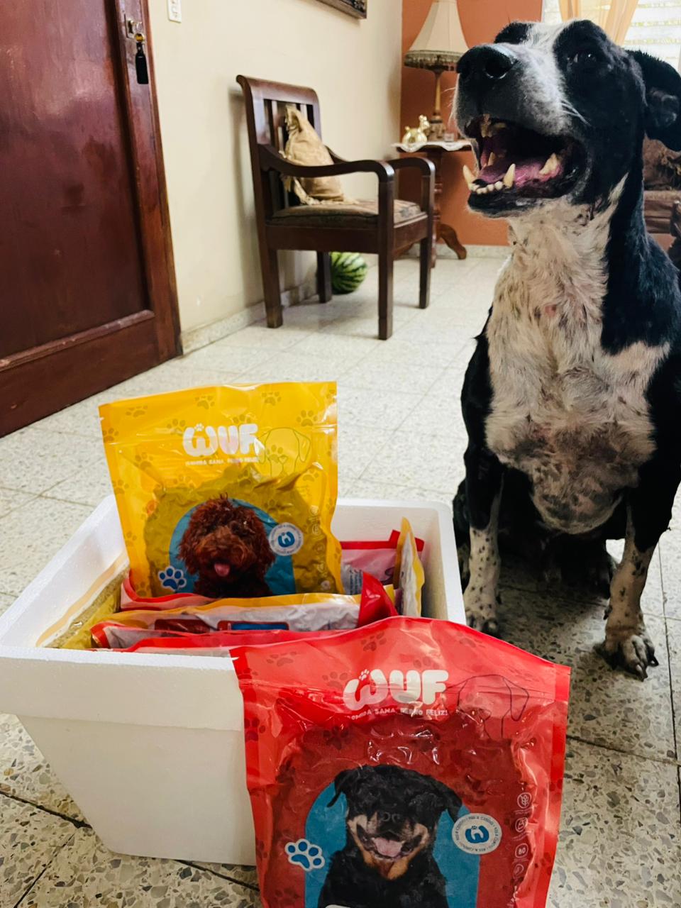 Cliente Wuf