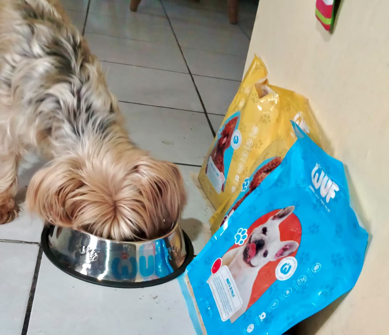 Cliente Wuf
