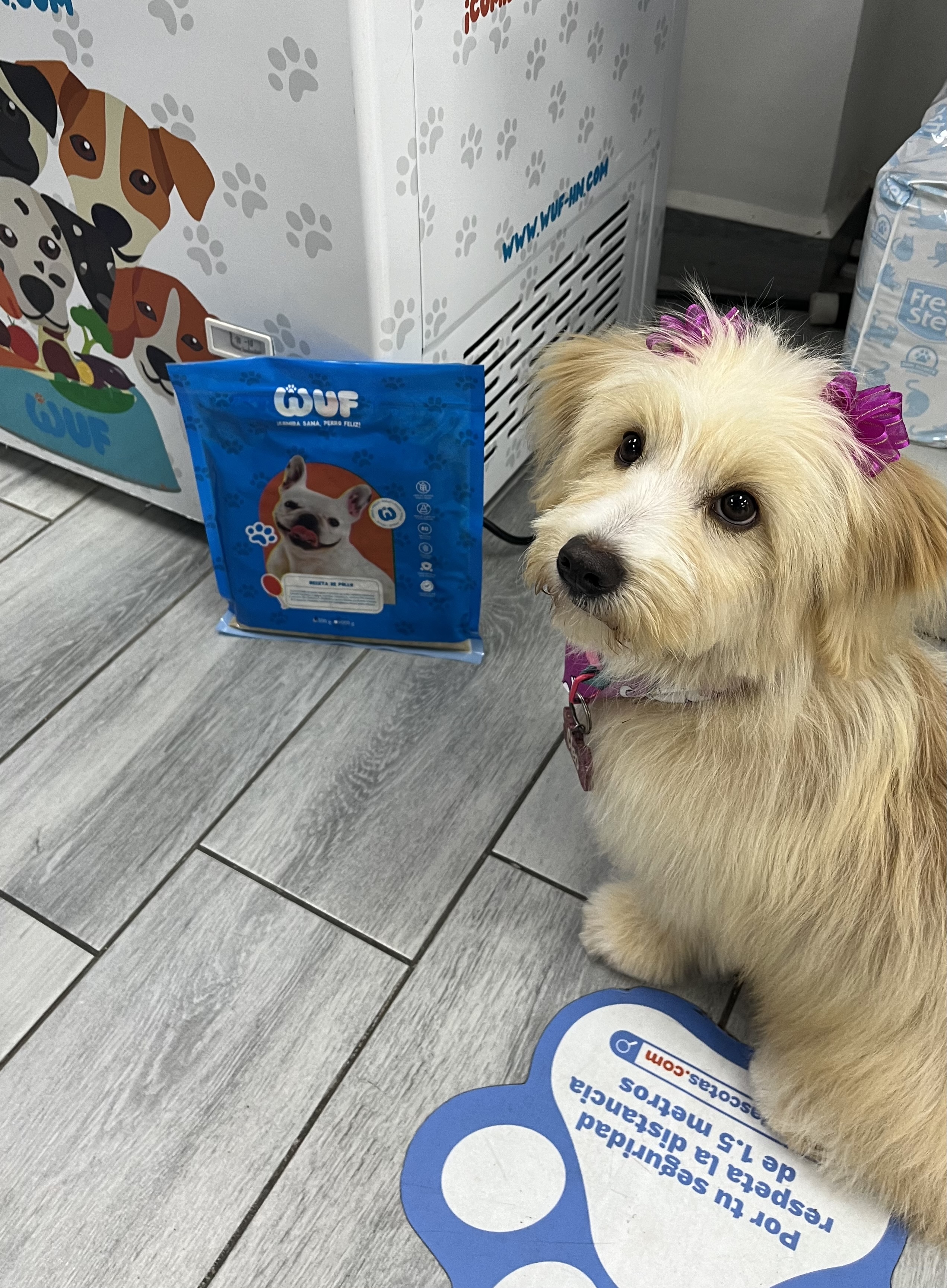 Cliente Wuf